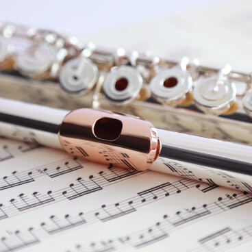 Home musician template home gallery img 2